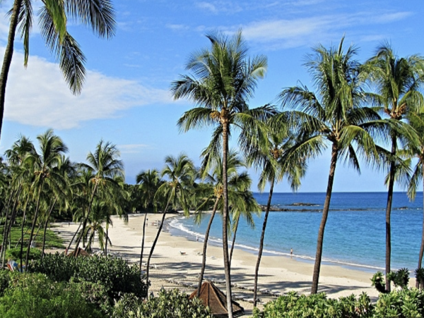 Luxury 4 Bedroom Home with Private Pool & Ocean Views