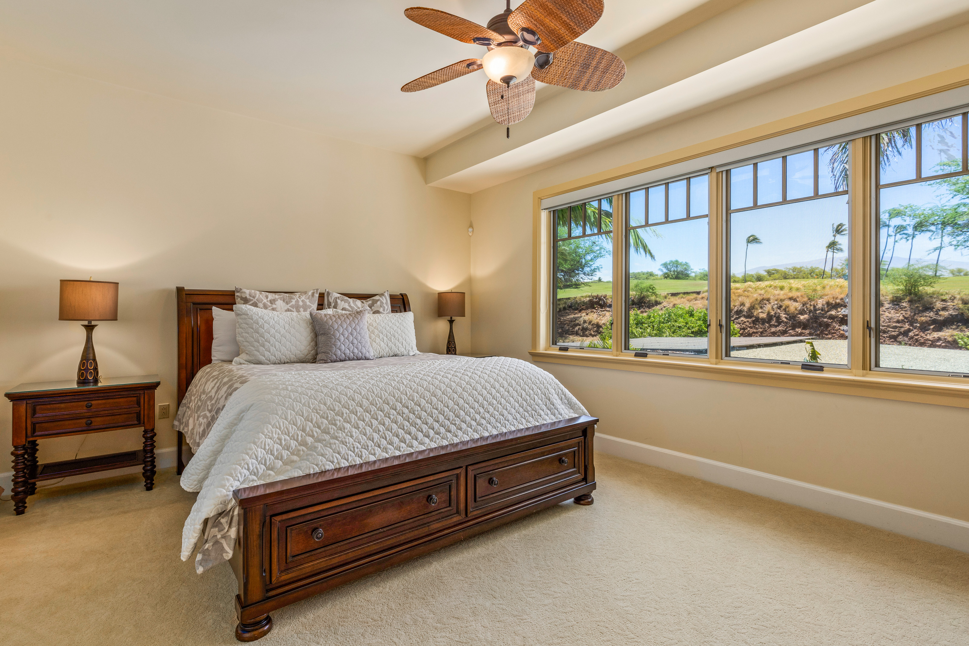 Kohala Coast Home 958243