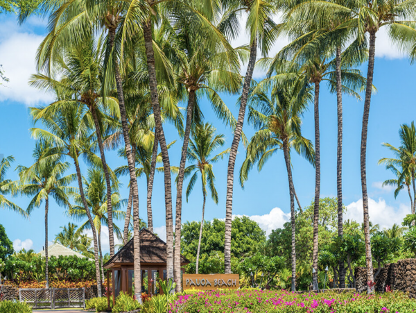 Oceanfront Luxury 5 Bedroom Vacation Rental Private Pool