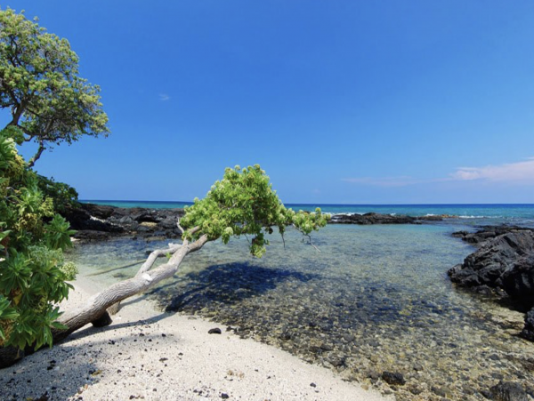 Oceanfront Luxury 5 Bedroom Vacation Rental Private Pool