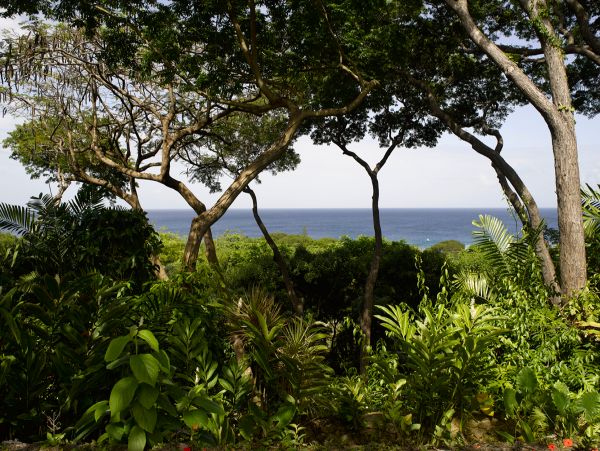 Barbados Home 958252