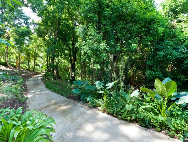 Barbados Home 958252