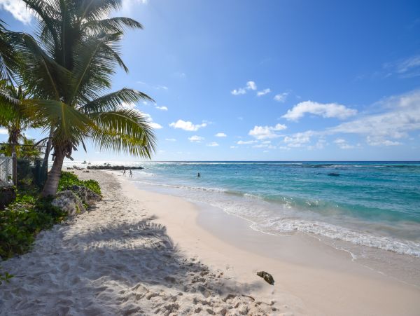 Barbados Condo 958258