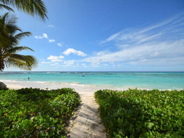 Barbados Condo 958258