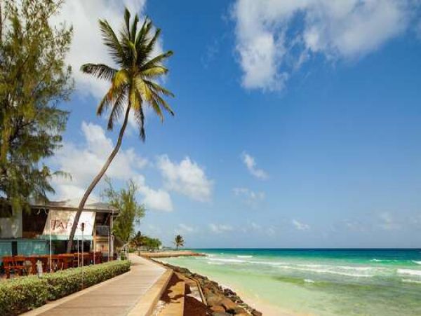 Barbados Condo 958262
