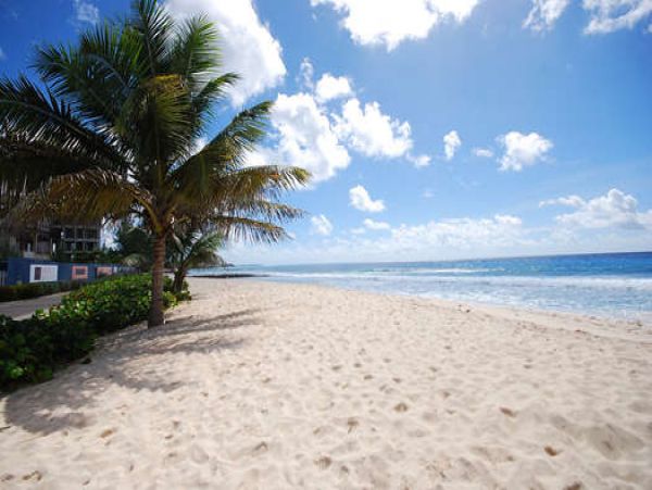 Barbados Condo 958262