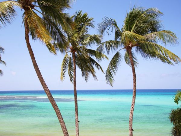 Barbados Condo 958264