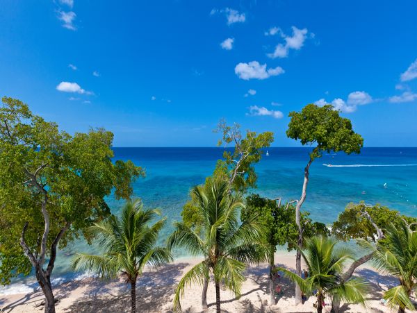Barbados Condo 958268