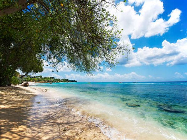 Barbados Condo 958268