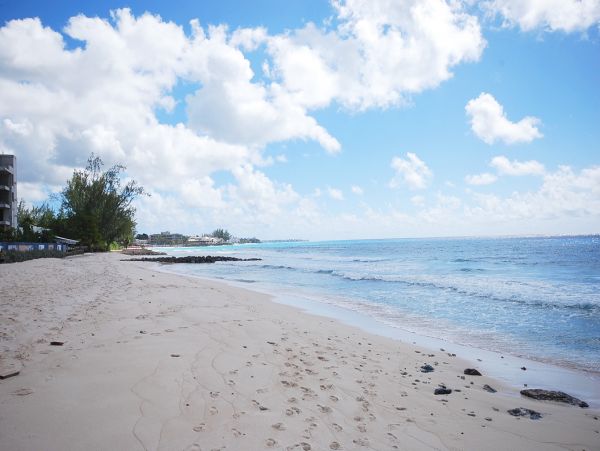 Barbados Condo 958269