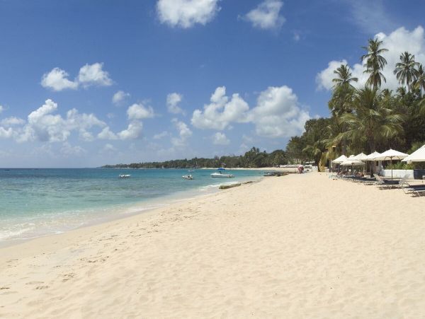 Barbados Condo 958273