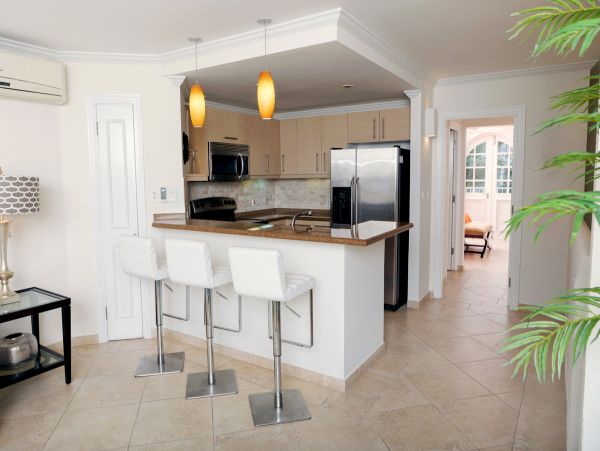 Barbados Condo 958279