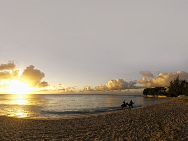 Barbados Condo 958291