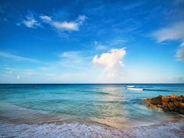 Barbados Condo 958296