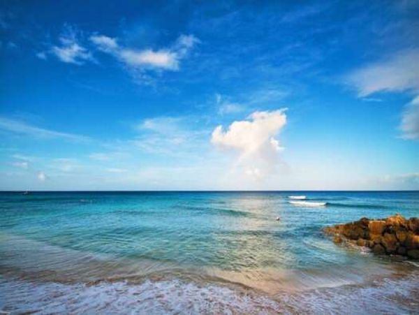 Barbados Condo 958296