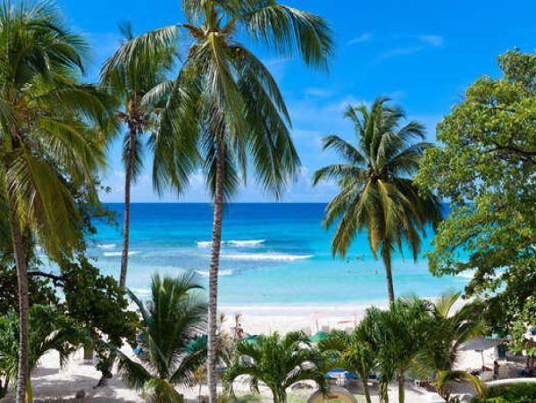 Barbados Condo 958311