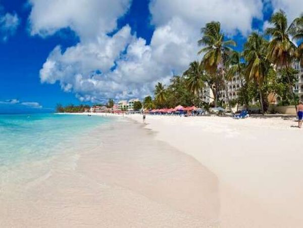 Barbados Condo 958316