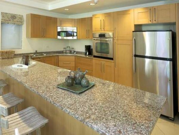 Barbados Condo 958325