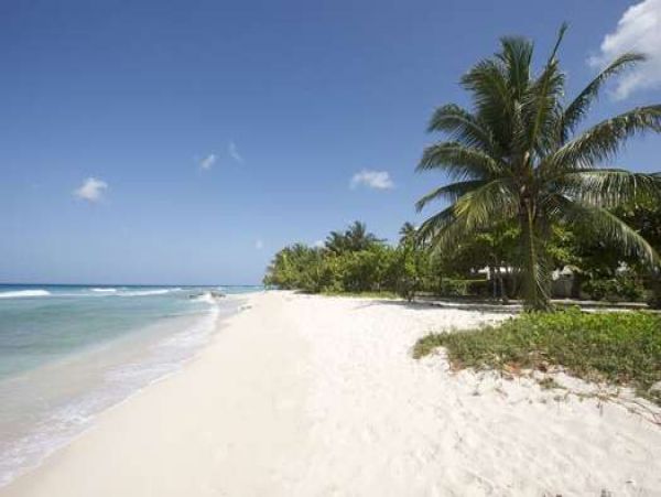 Barbados Condo 958325