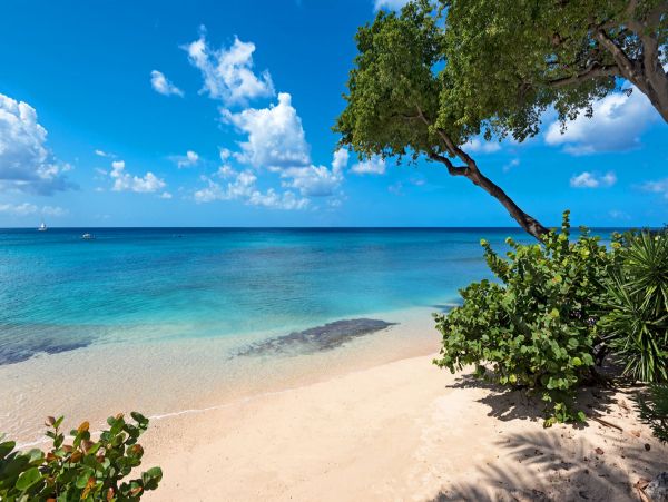 Barbados Condo 958329