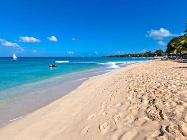 Barbados Condo 958336