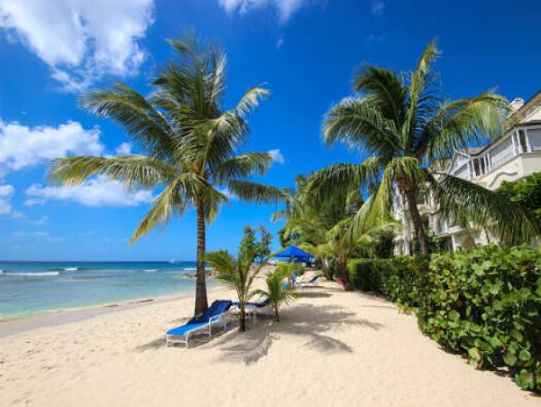 Barbados Condo 958342