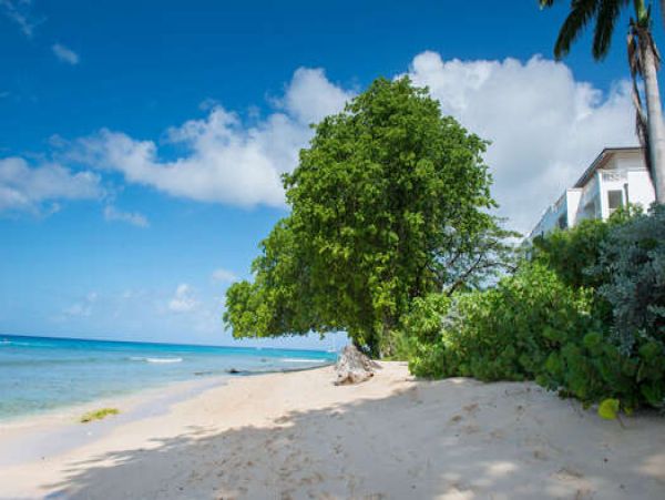 Barbados Condo 958343