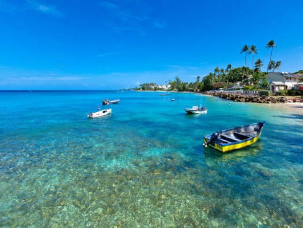 Barbados Home 958351