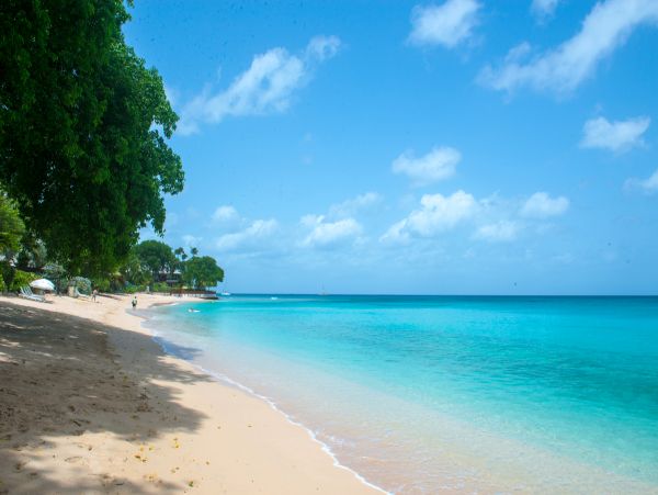 Barbados Home 958352