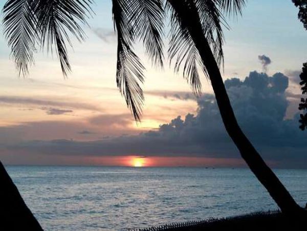 Barbados Home 958362