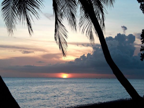 Barbados Condo 958363