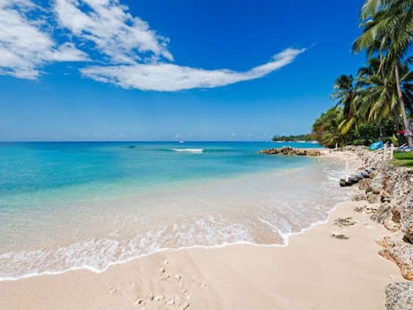 Barbados Condo 958364