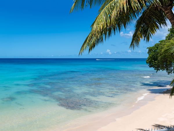 Barbados Home 958372