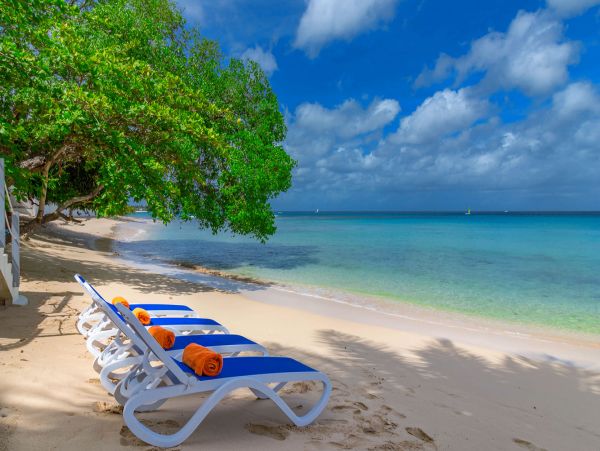 Barbados Home 958372