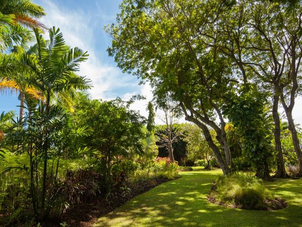 Barbados Home 958408