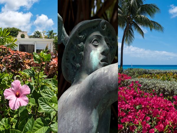 Barbados Home 958409