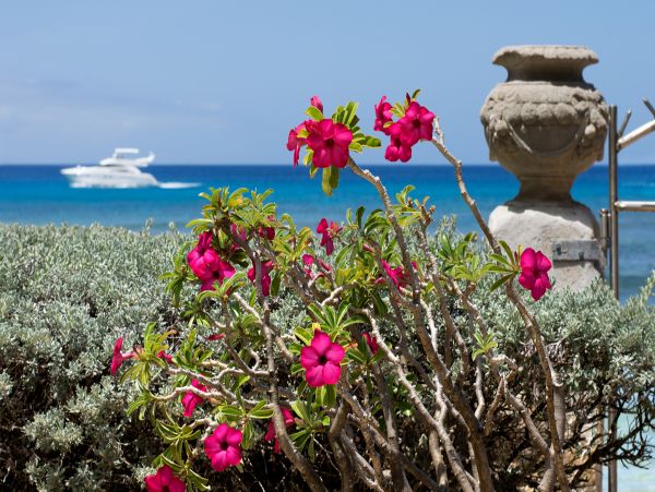 Barbados Home 958421