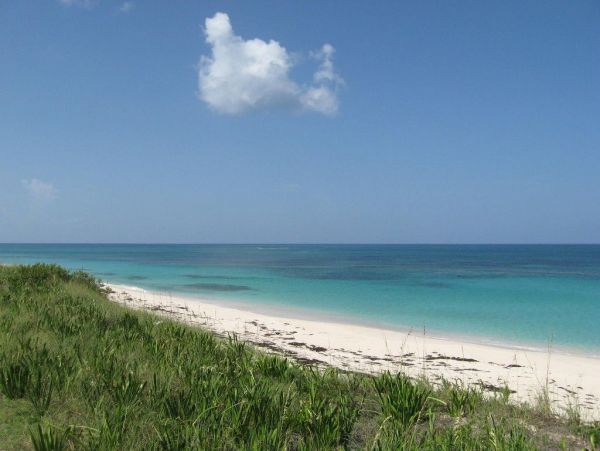 Bahamas Condo 958518