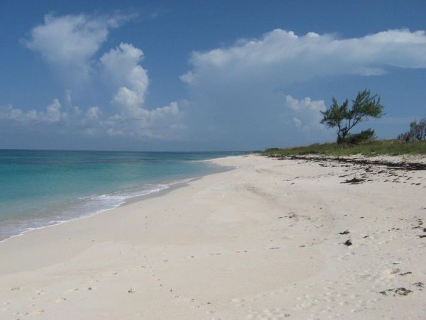 Bahamas Condo 958518