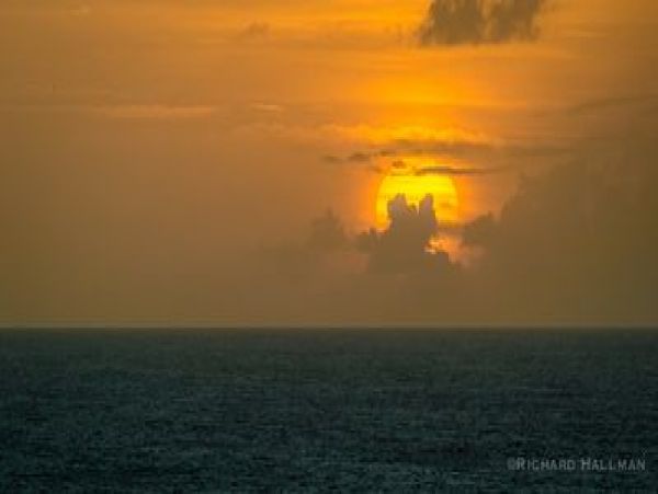 Bahamas Condo 958521