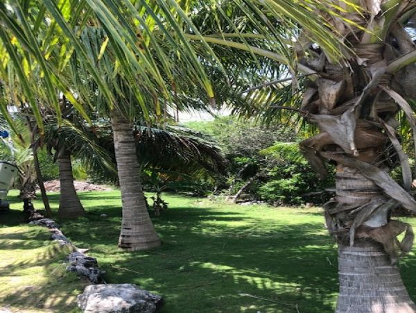 Bahamas Home 958525