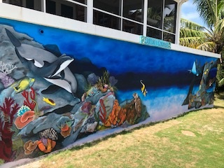 Bahamas Home 958525