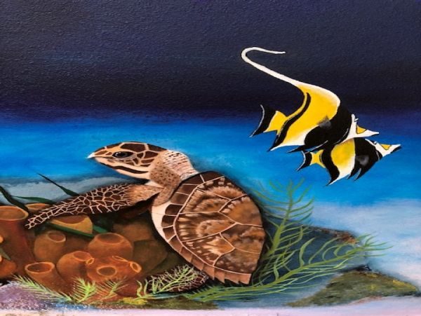 Bahamas Home 958525