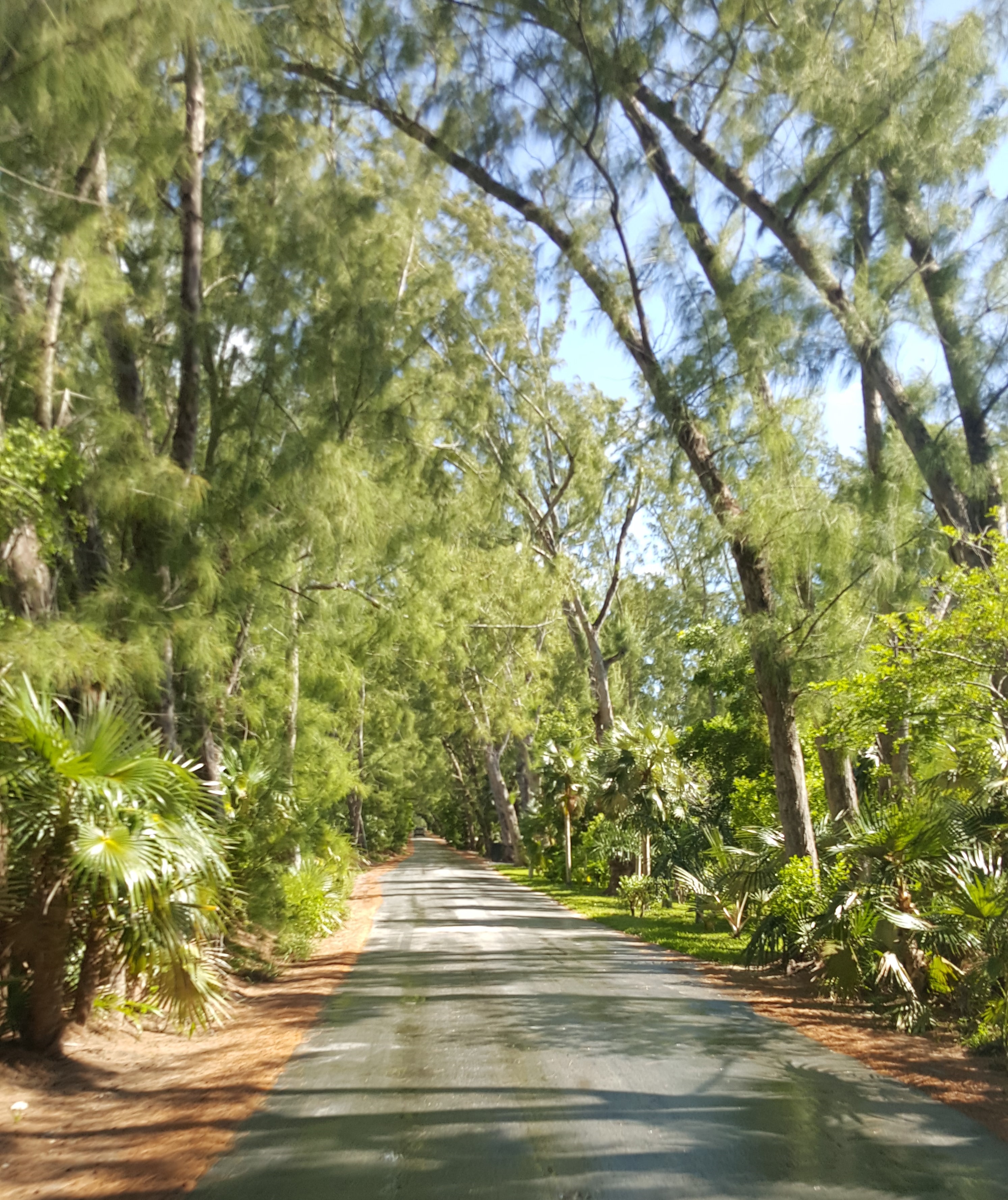 Bahamas Home 958527