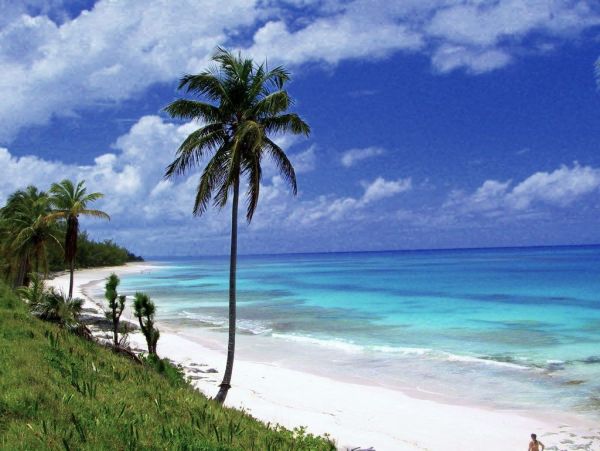 Bahamas Home 958529