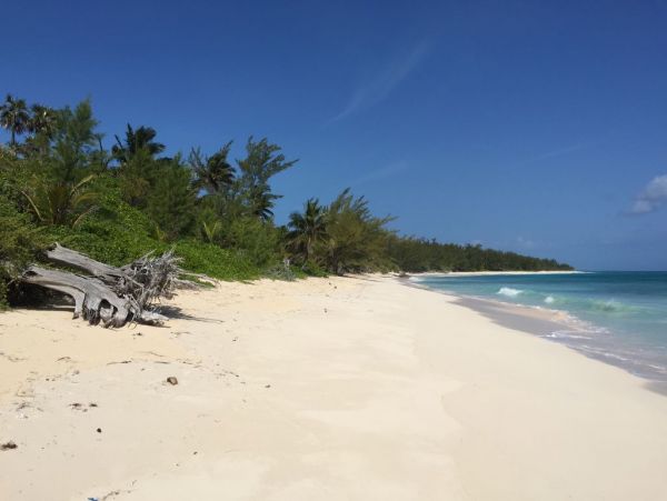 Bahamas Home 958529