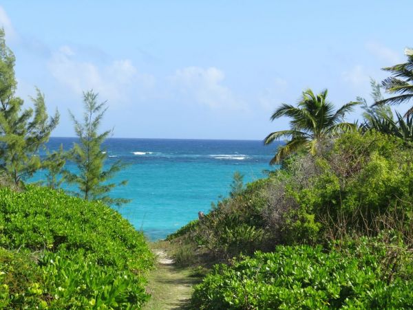 Bahamas Home 958535