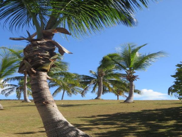 Bahamas Home 958536