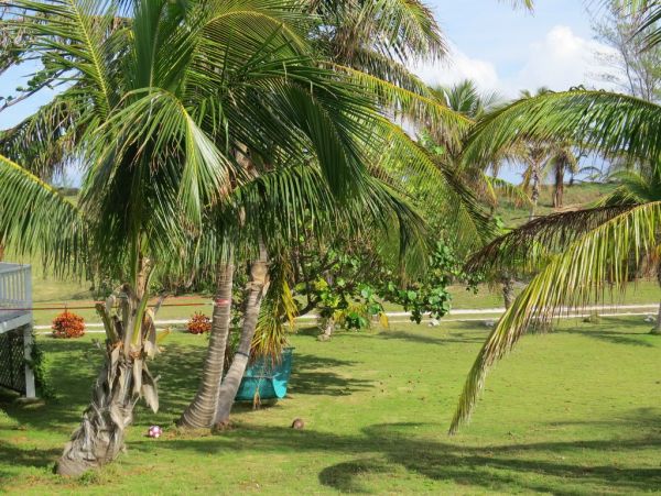 Bahamas Home 958536