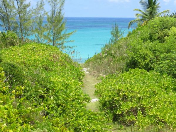 Bahamas Home 958536